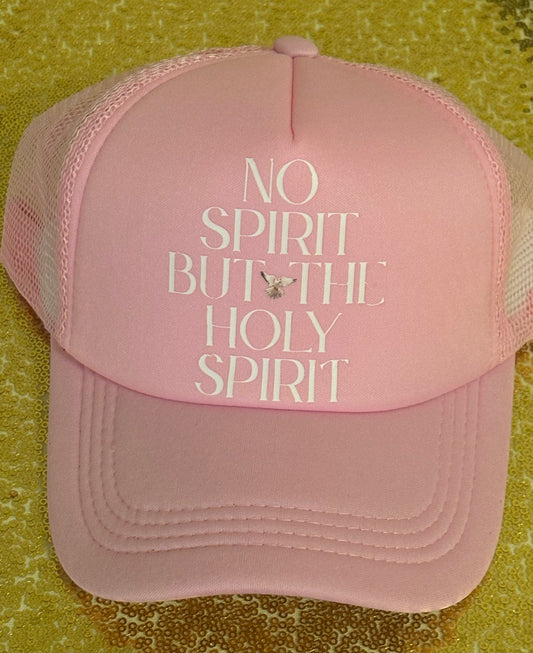 No Spirit But The Holy Spirit 🕊️